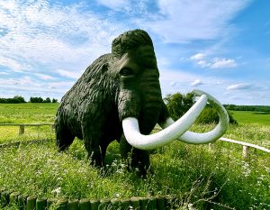 Mammut - Teaser für die Website des Eiszeitmuseums Ziethen