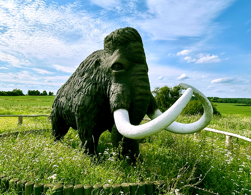 Mammut - Teaser für die Website des Eiszeitmuseums Ziethen