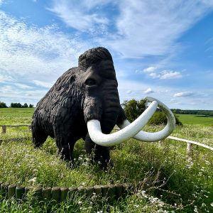 Mammut - Teaser für die Website des Eiszeitmuseums Ziethen